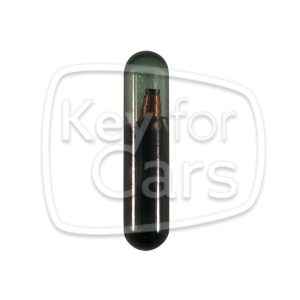 ID48 Audi Canbus - TP25